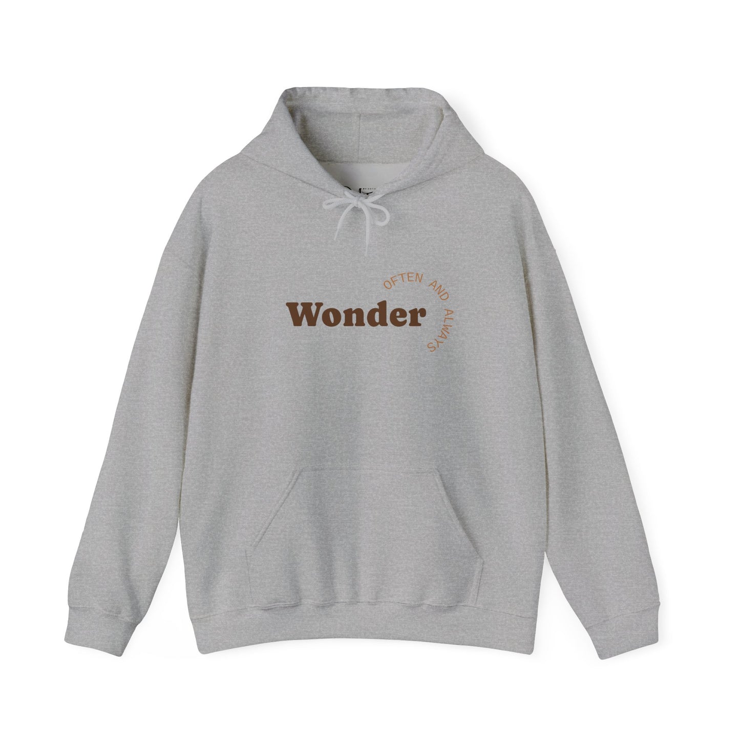 Unisex Heavy Blend™ Hooded Sweatshirt - Classic Fleece Hoodie