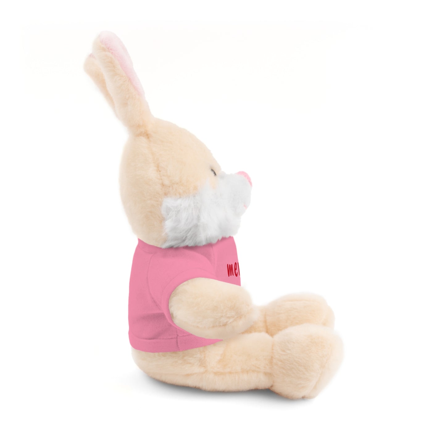 Plush Bunny